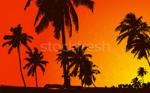 Sunset View with Plam Tree Stock photo © vectomart