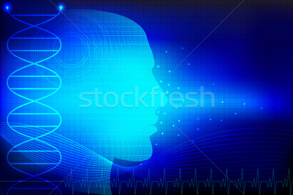 Human Head on Medical Background Stock photo © vectomart