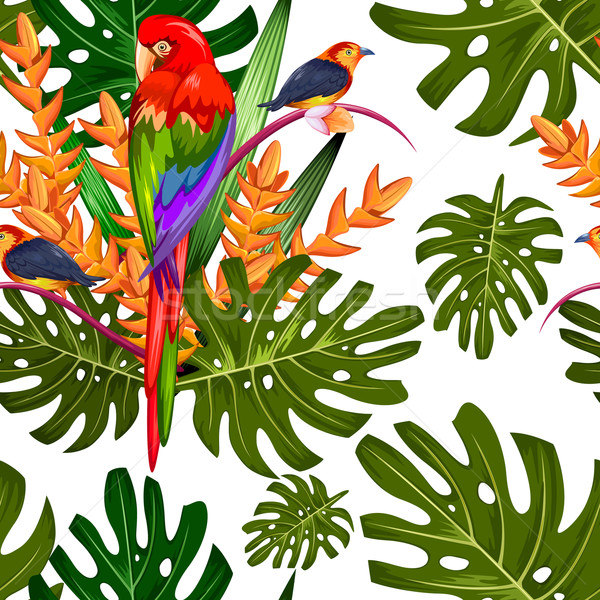 Exotic floare tropicala colorat pasăre ilustrare Imagine de stoc © vectomart