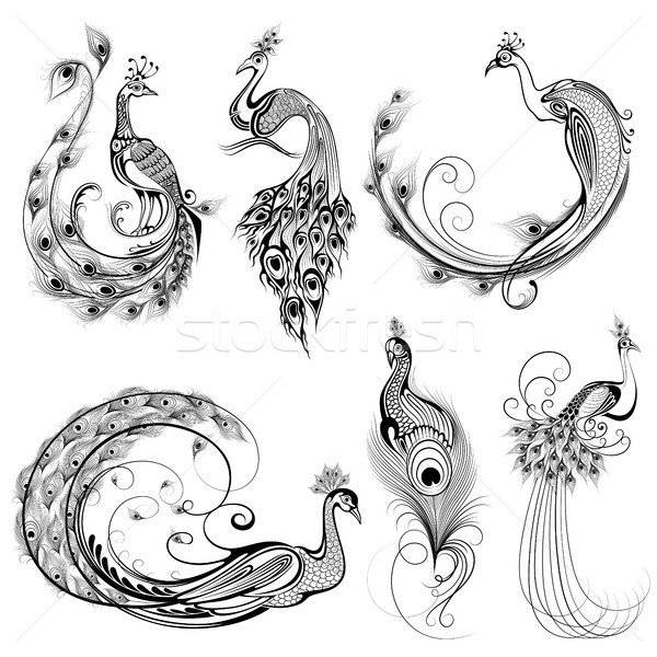 Tetoválás művészet terv páva gyűjtemény illusztráció Stock fotó © vectomart