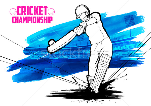 Jogar críquete campeonato ilustração fundo esportes Foto stock © vectomart