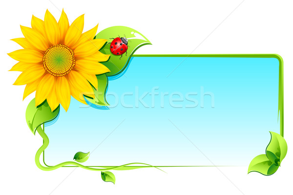 Floral Card Stock photo © vectomart