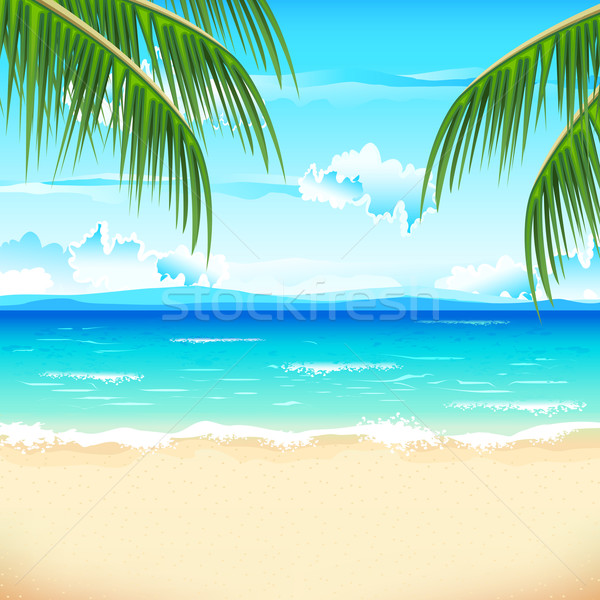 Frumos plajă ilustrare mare palmier cer Imagine de stoc © vectomart