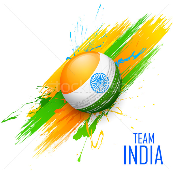 Cricket balle Inde illustration sport [[stock_photo]] © vectomart