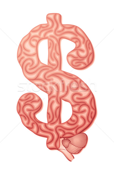 Dollar Brain Stock photo © vectomart