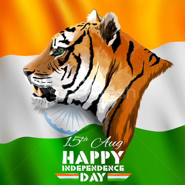 Tricolor indiano bandeira agosto feliz dia Foto stock © vectomart
