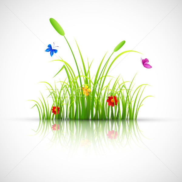 Green Grass with BUtterfly Stock photo © vectomart