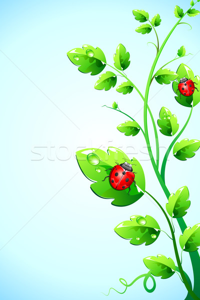 Bug on plant Stock photo © vectomart