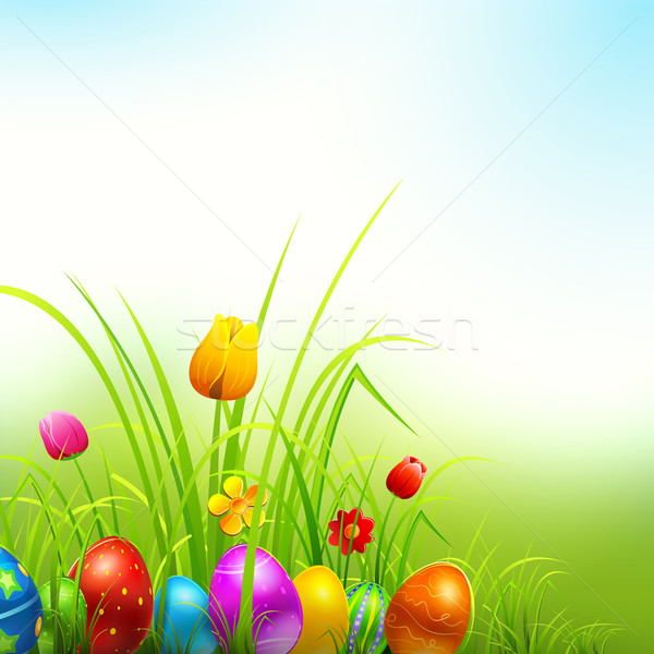 14 ilustração colorido decorado ovos de páscoa grama Foto stock © vectomart