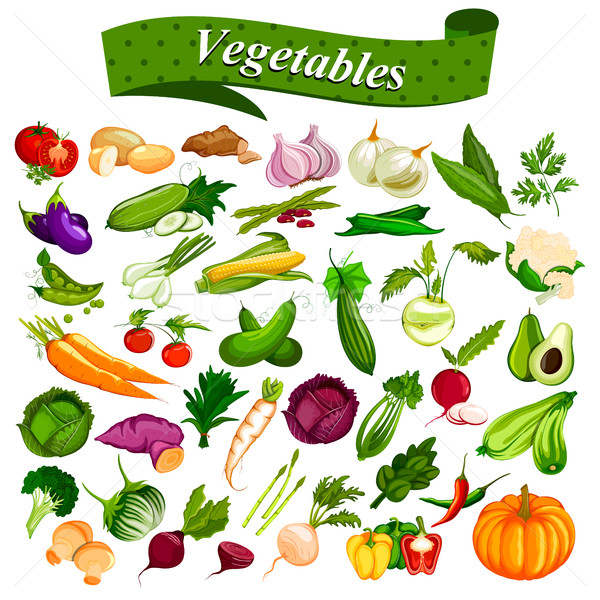 Full collection of different types of fresh and healthy vegetables Stock photo © vectomart