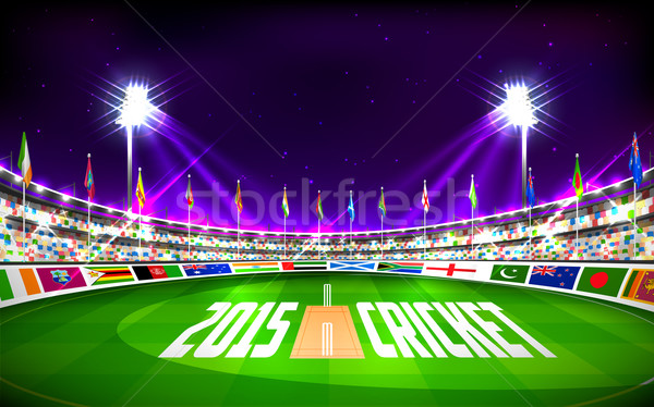 Stadium of cricket showing flags of participating countries Stock photo © vectomart