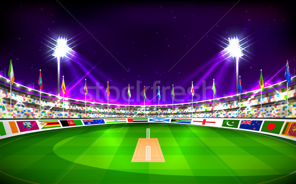 Stadium of cricket showing flags of participating countries Stock photo © vectomart