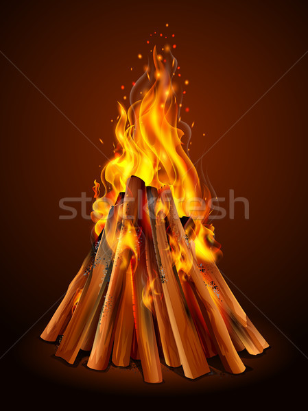 Blazing bonfire inferno fire on wood for outdoor camping or Lohri celebration Stock photo © vectomart