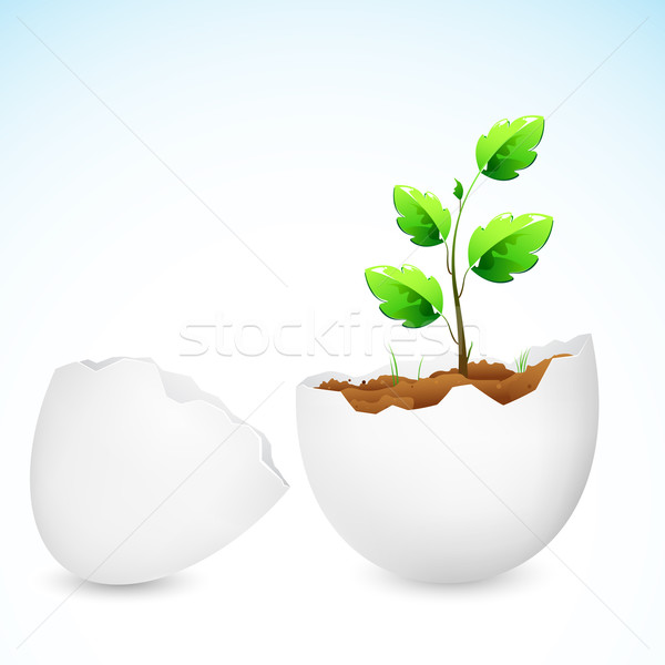 Alberello crescita uovo shell illustrazione impianto Foto d'archivio © vectomart