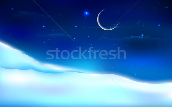 Nacht landschap illustratie sneeuw winter Blauw Stockfoto © vectomart