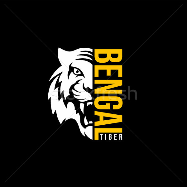 Tiger Vorderseite Ansicht logo Vorlage Vektor Stock foto © vector1st