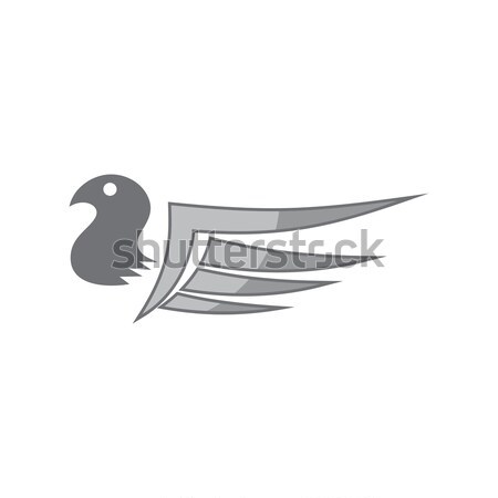 Vleugel kunst vector grafische ontwerp illustratie Stockfoto © vector1st