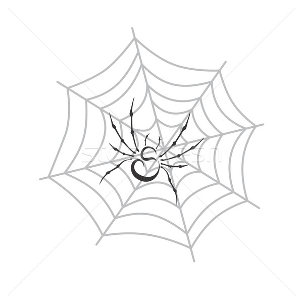 Stock photo: color spiderweb art