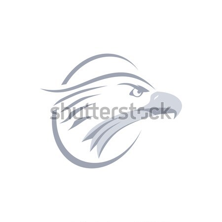 bold eagle template Stock photo © vector1st