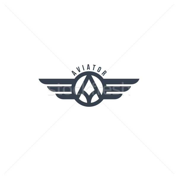 aviator wing theme Stock photo © vector1st