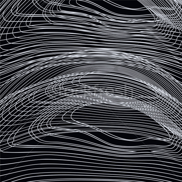 Texture modèle vecteur graphique art illustration [[stock_photo]] © vector1st