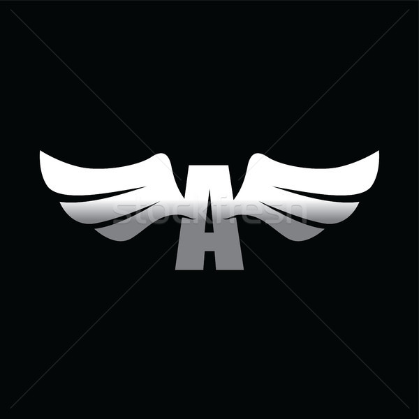 aviator wing - space aeroplane airplane vector art Stock photo © vector1st