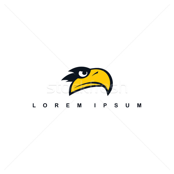eagle hawk bird logo template Stock photo © vector1st