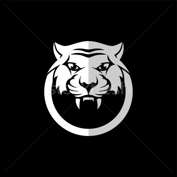 Tigre frente vista logo plantilla vector Foto stock © vector1st