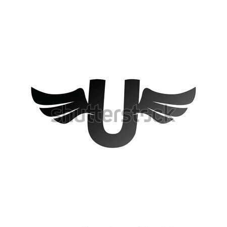 aviator wing airplane theme vector art Stock photo © vector1st