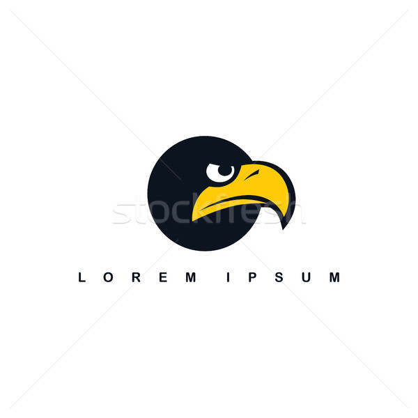 Águia falcão pássaro logotipo modelo vetor Foto stock © vector1st