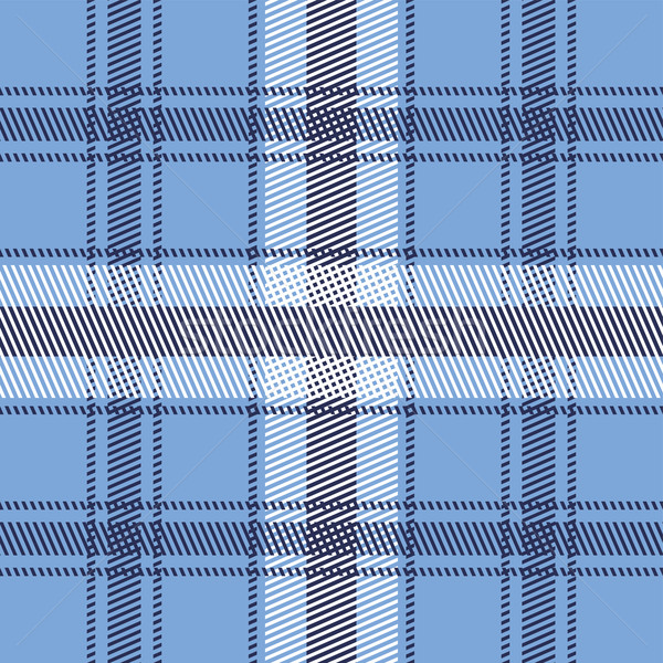 garment pattern Stock photo © vector1st