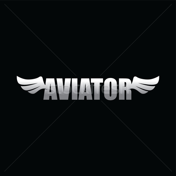 aviator wing - space aeroplane airplane vector art Stock photo © vector1st