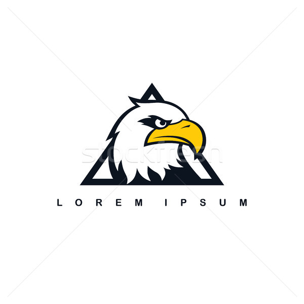 Adelaar havik vogel logo sjabloon vector Stockfoto © vector1st