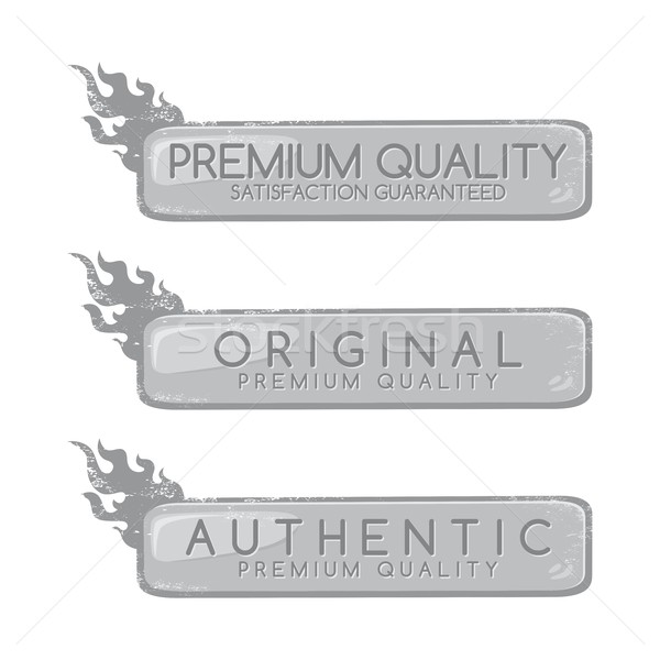 button theme Stock photo © vector1st
