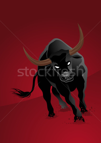 Foto stock: Preto · touro · vermelho · furioso · poder · animal