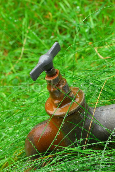 Jardim velho torneira enferrujado molhado grama Foto stock © Vectorex