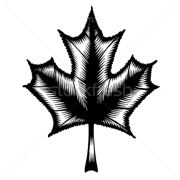 decorative silhouette maple leaf Stock photo © VectorFlover