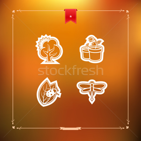 Tavasz négy ikonok helyes felső fenék Stock fotó © Vectorminator