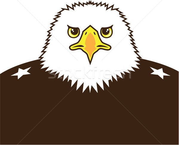águila general clipart imagen retrato militar Foto stock © vectorworks51