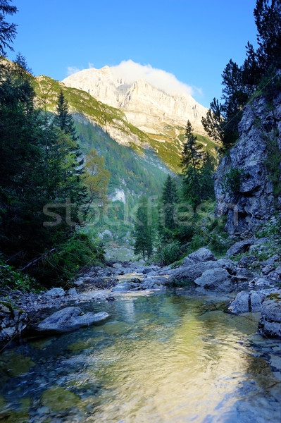Majestueus bergen afbeelding rivier bos natuur Stockfoto © velkol