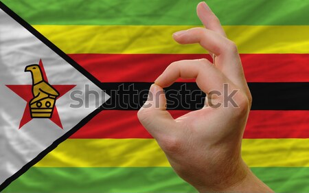 complete waved national flag of zimbabwe for background   Stock photo © vepar5