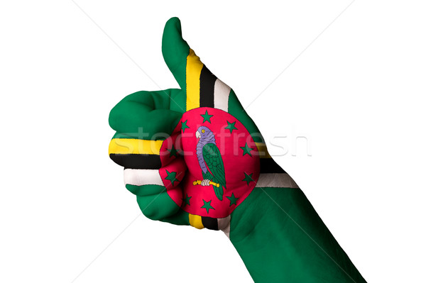 Dominica bandeira polegar para cima gesto excelência Foto stock © vepar5