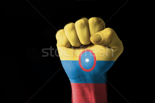 Fist painted in colors of columbia flag Stock photo © vepar5