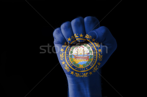 Fist painted in colors of us state of new hampshire flag Stock photo © vepar5