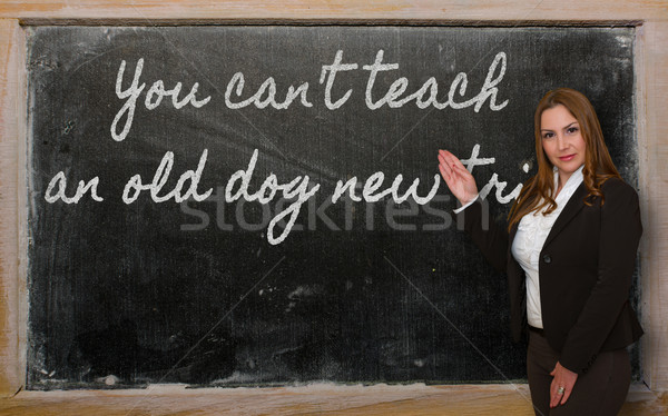 Teacher showing You can t teach an old dog new tricks on blackbo Stock photo © vepar5