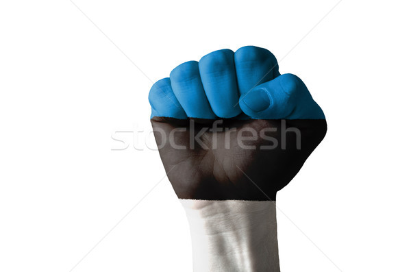 Fist painted in colors of estonia flag Stock photo © vepar5