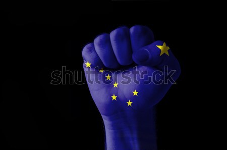 Fist painted in colors of us state of alaska flag Stock photo © vepar5