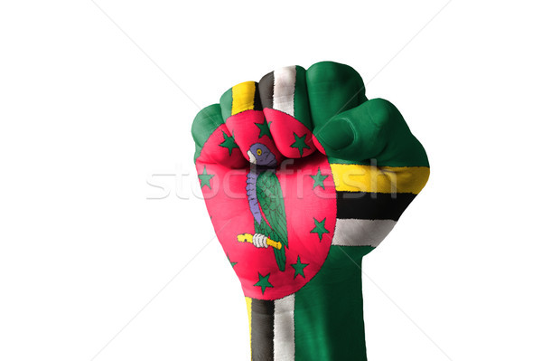 Fist painted in colors of dominica flag Stock photo © vepar5
