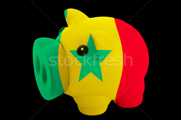 богатых банка цветами флаг Сенегал Сток-фото © vepar5