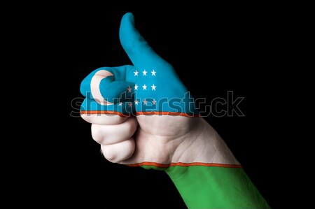Magyarország zászló hüvelykujj felfelé kézmozdulat kiválóság Stock fotó © vepar5